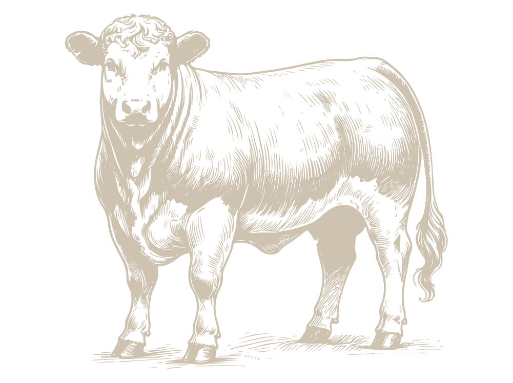 Ganado de libre pastoreo